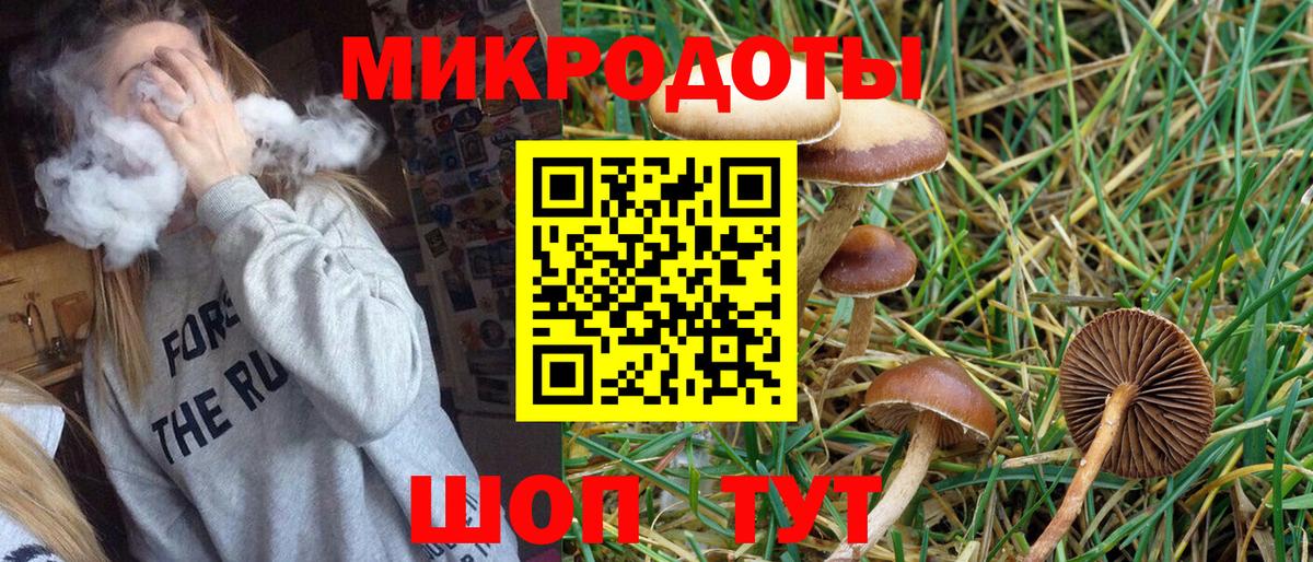Избербаш  Псилоцибиновые грибы Magic Shrooms  Вход с VPN 