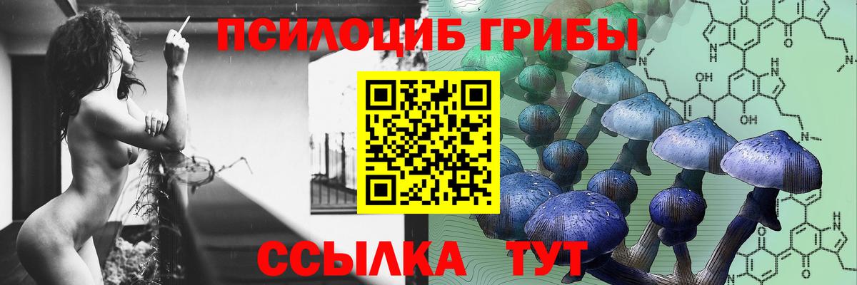 Псилоцибиновые грибы ЛСД Избербаш